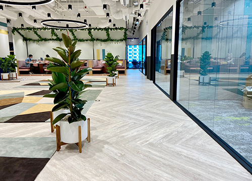 Кварцвинил в офисе рисунок ёлка